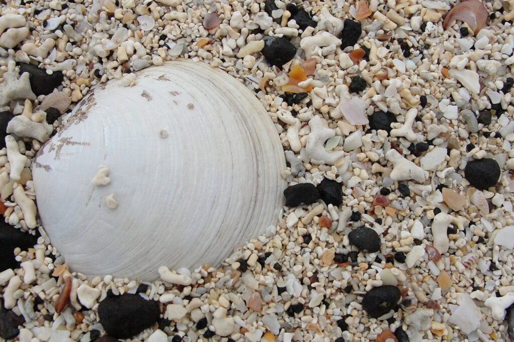 Acquacalda e la costa settentrionale di Lipari — On Coral Beach you will not find any sand, but millions of small pieces of seashell and coralline seaweed