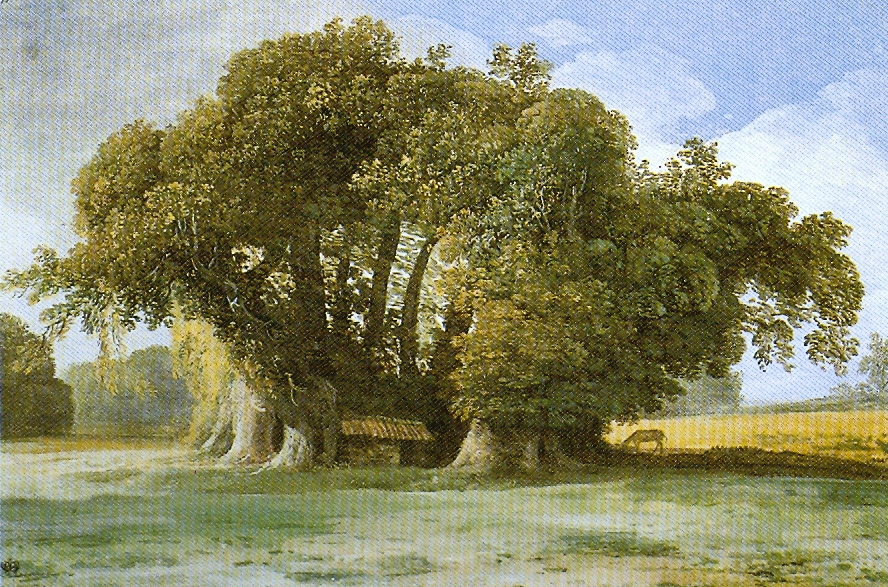Da Quattropani alle Terme di San Calogero a piedi — Castagno dei cento cavalli, Jean-Pierre Houël.