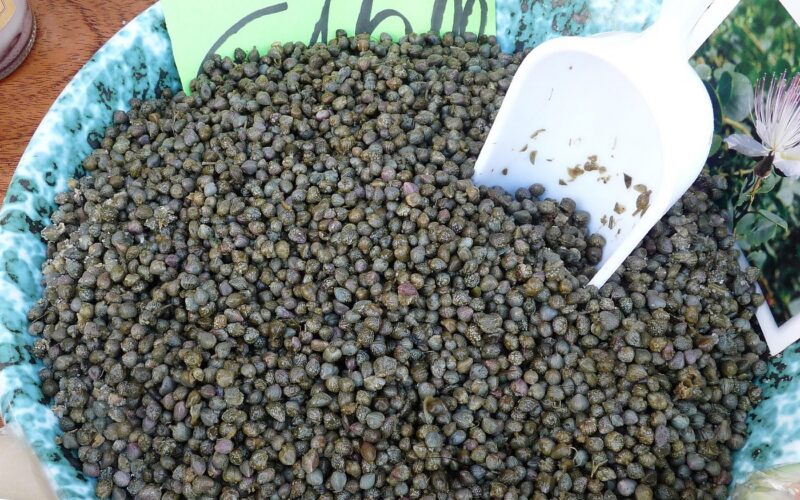 Capperi delle Eolie: storia, raccolta e uso in cucina — Puntini (petites câpres) de Salina (îles Eoliennes, Sicile)